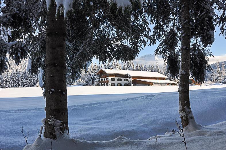 Bauernhof Niederfilzboden Villa Fieberbrunn Dış mekan fotoğraf