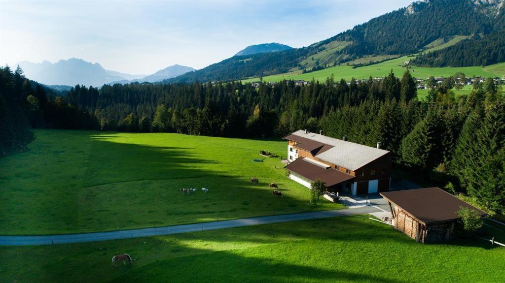 Bauernhof Niederfilzboden Villa Fieberbrunn Dış mekan fotoğraf